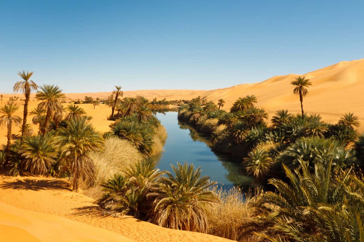 Umm al-Ma Lake - Idyllic oasis in the Awbari Sand Sea, Sahara Desert, Libya; Shutterstock ID 72697231; purchase_order: -; job: -; client: -; other: -
